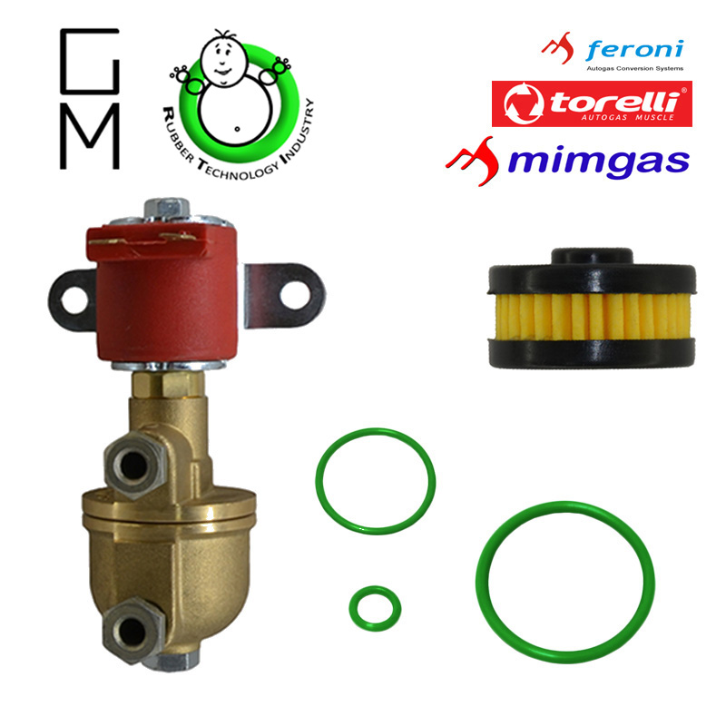Фільтр газових клапанів Torelli, Mimgas та інших GM RTI Premium в Харькове